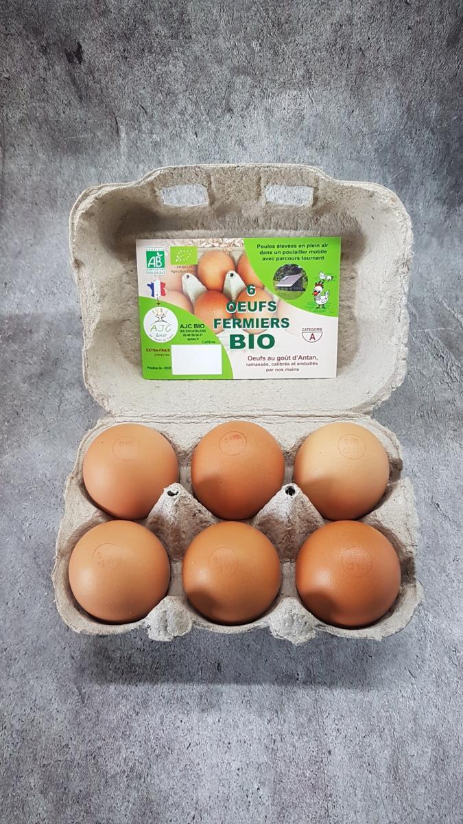 6 OEUFS BIO EXTRA FRAIS