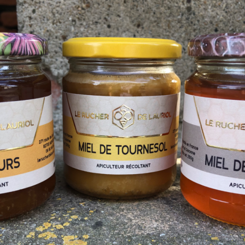 Miel de Châtaignier – 500 gr – Pétales de Miel